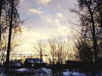Low angle view of silhouette trees against sky