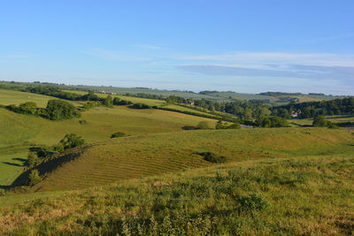 Farm fields and green rolling hills in summer, near poyntington, sherborne, dorset, england