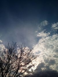 Low angle view of bare tree against sky