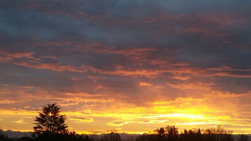 Low angle view of dramatic sky during sunset