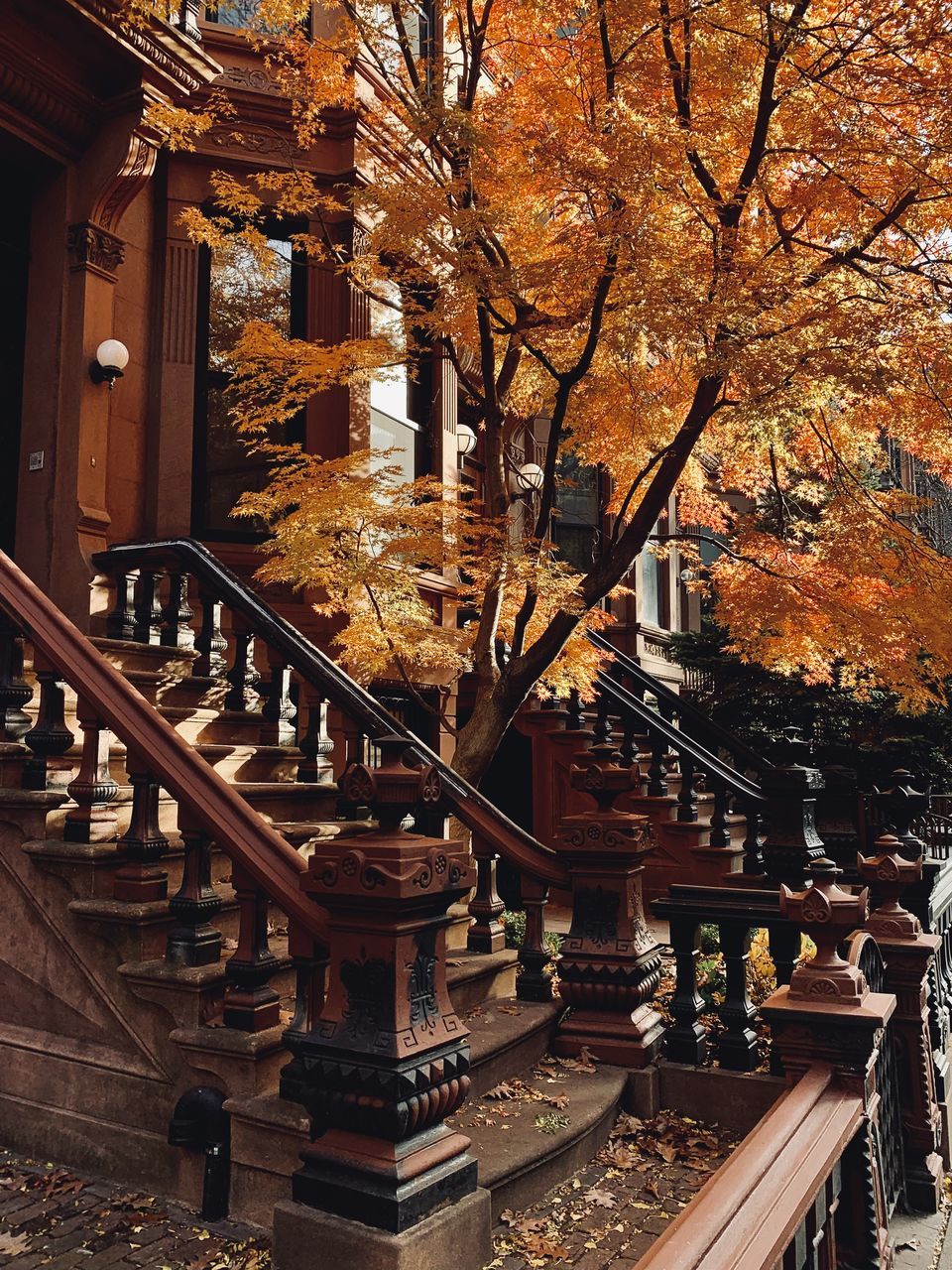 architecture, built structure, tree, autumn, plant, building exterior, railing, staircase, nature, no people, building, steps and staircases, flower, outdoors, day, city