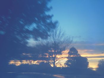 Silhouette trees against sky during sunset