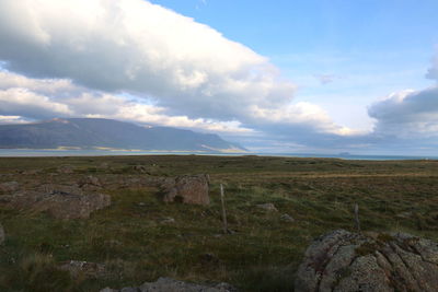 Scenic view of field against sky