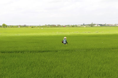 Man working in field