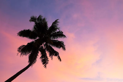 Low angle view of trees against sky