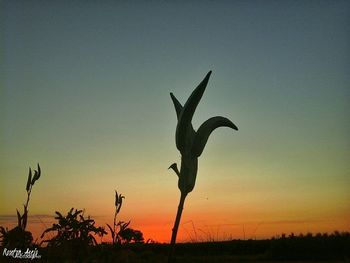 Silhouette bird flying against clear sky during sunset