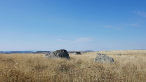 Aubrac landscape