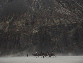 Group of people riding horse in winter