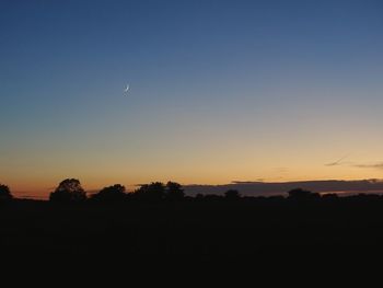 Silhouette trees against sky during sunset