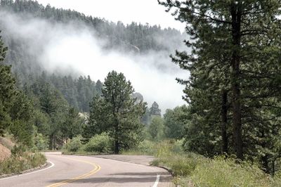 Road amidst trees in forest against sky