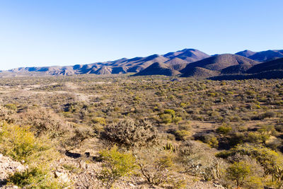 Scenic view of landscape and mountains against clear blue sky