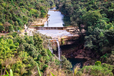 High angle view of waterfall in forest