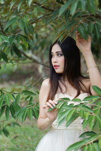 Young beautiful woman standing by tree branches