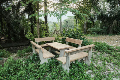 Empty bench on field in forest