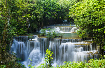 Scenic view of waterfall in forest