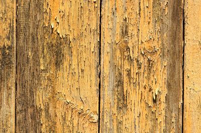 Macro shot of weathered wood