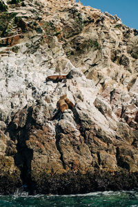 Rock formations on sea shore