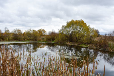 Scenic view of lake by trees against sky