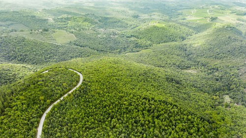 High angle view of trees on land