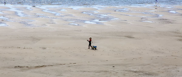 High angle view of man on beach