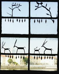 Row of trees in the dark