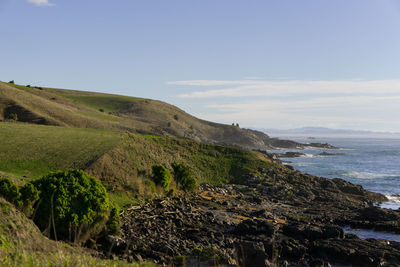 Scenic view of landscape by sea against clear sky