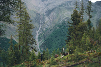 Scenic view of mountains