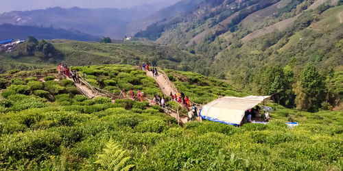 Scenic view of landscape and mountains