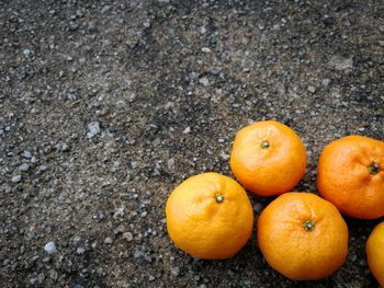 High angle view of orange fruits