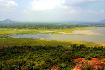 High angle view of trees on landscape against sky
