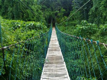 Footbridge amidst trees in forest