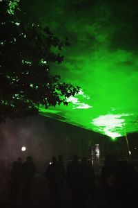 Illuminated trees against sky at night