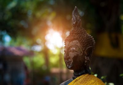 Close-up of buddha statue 