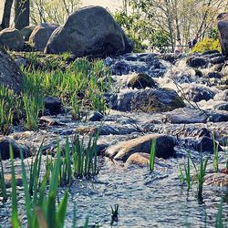 View of rocks in water