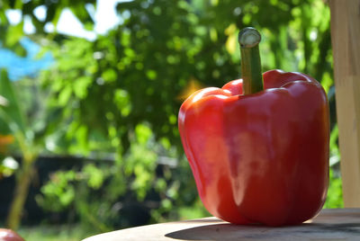 Close-up of red bell peppers on table