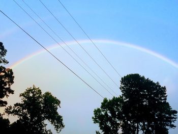 Rainbow over trees against sky