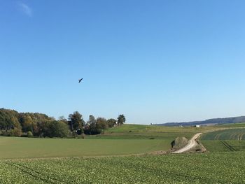 Scenic view of landscape against clear blue sky