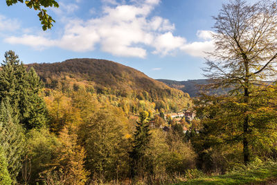 Scenic view of landscape against sky during autumn