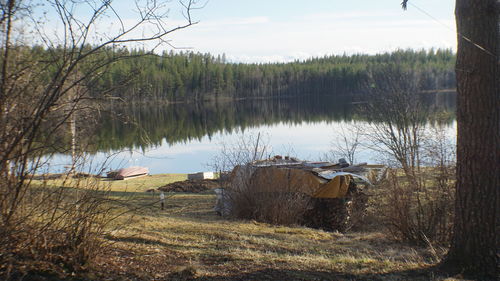 Scenic view of lake in forest against sky