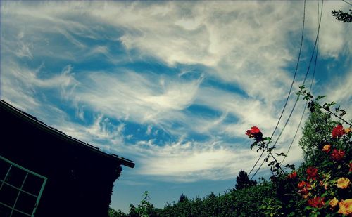 Low angle view of cloudy sky