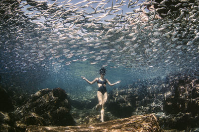 Full length of woman swimming amidst fishes in sea