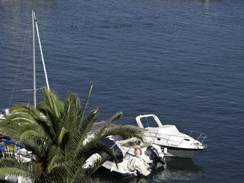 High angle view of sailboat in sea