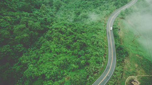 High angle view of road amidst trees in forest