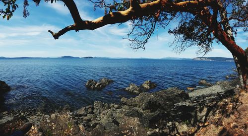Scenic view of sea against cloudy sky