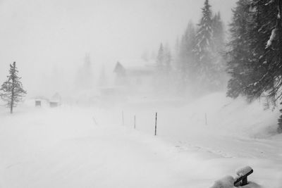 View of trees on snow covered landscape