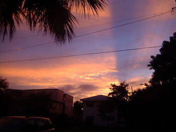 Silhouette of palm trees at sunset