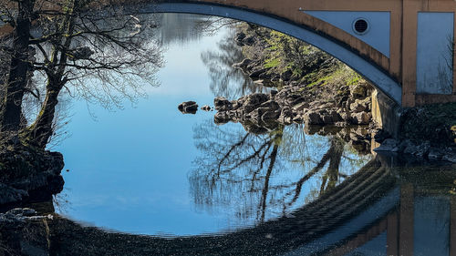 reflection