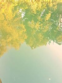 Reflection of trees in lake against sky