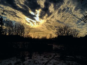 Silhouette bare trees against sky during sunset