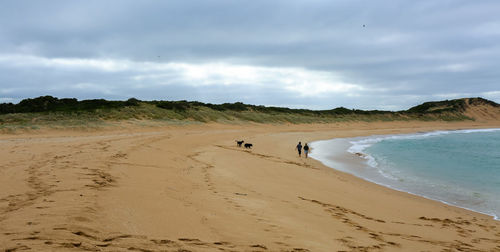 Scenic view of beach against sky